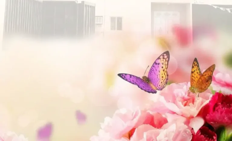 تقرير مبادرة محطات الهام